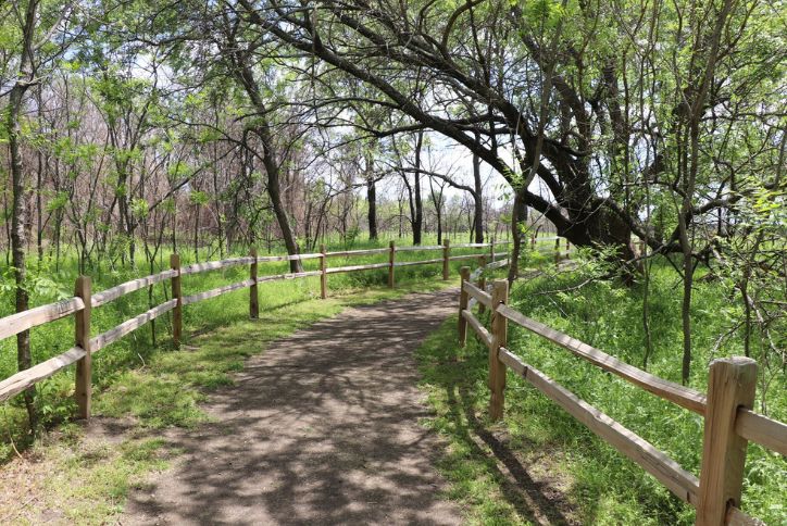 Frisco Tx Park August 26 Blog