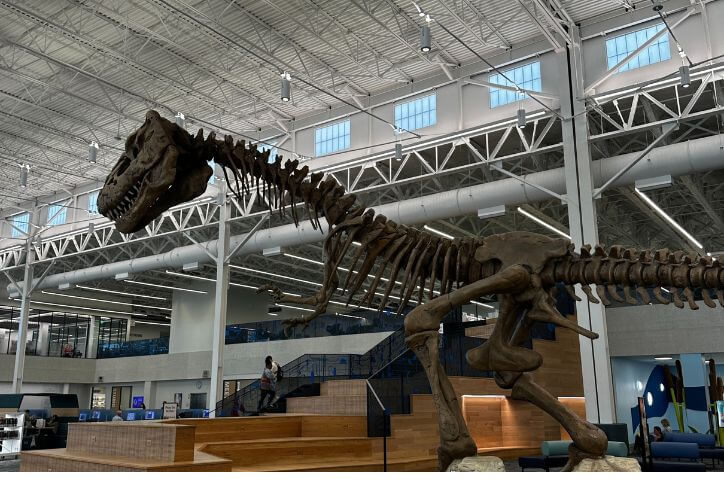 Frisco Library February 26 Blog TGF