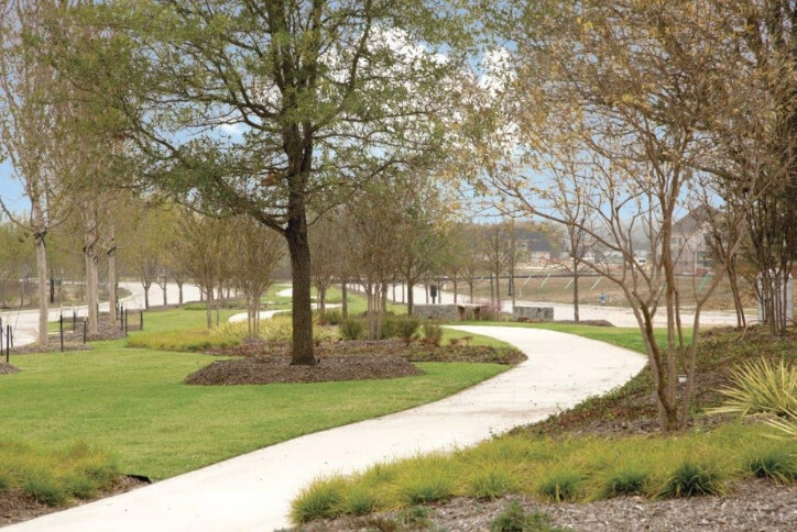 Mature Trees at The Grove Frisco